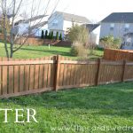 fence+after