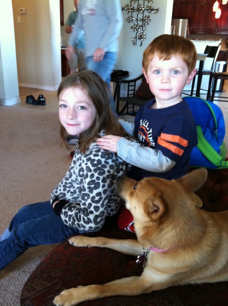 photo(14)