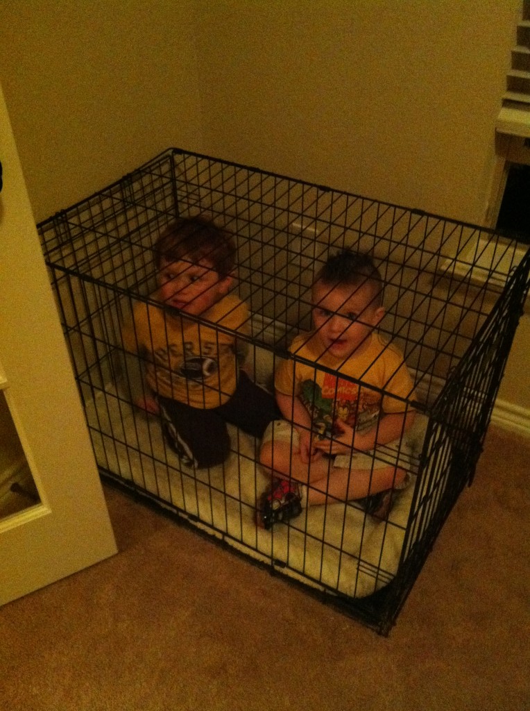 photo(19)
