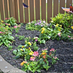 flower garden