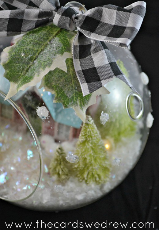polka dotted glass terrarium