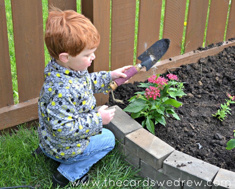 getting kids involved with gardening