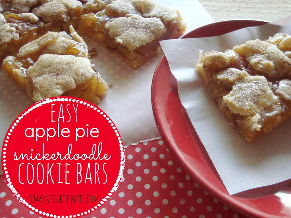 apple-pie-snickerdoodle-cookie-bars-at-shaken-together-1024x768
