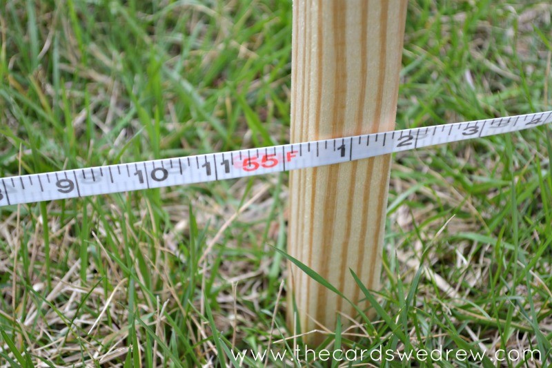 measuring batting cage