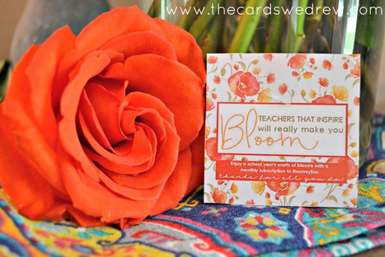 Back to School Teacher Gift with Bloomsy Box