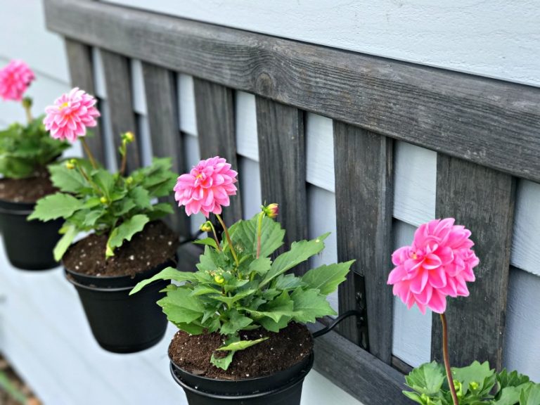Spring Upcycled Ladder Planter