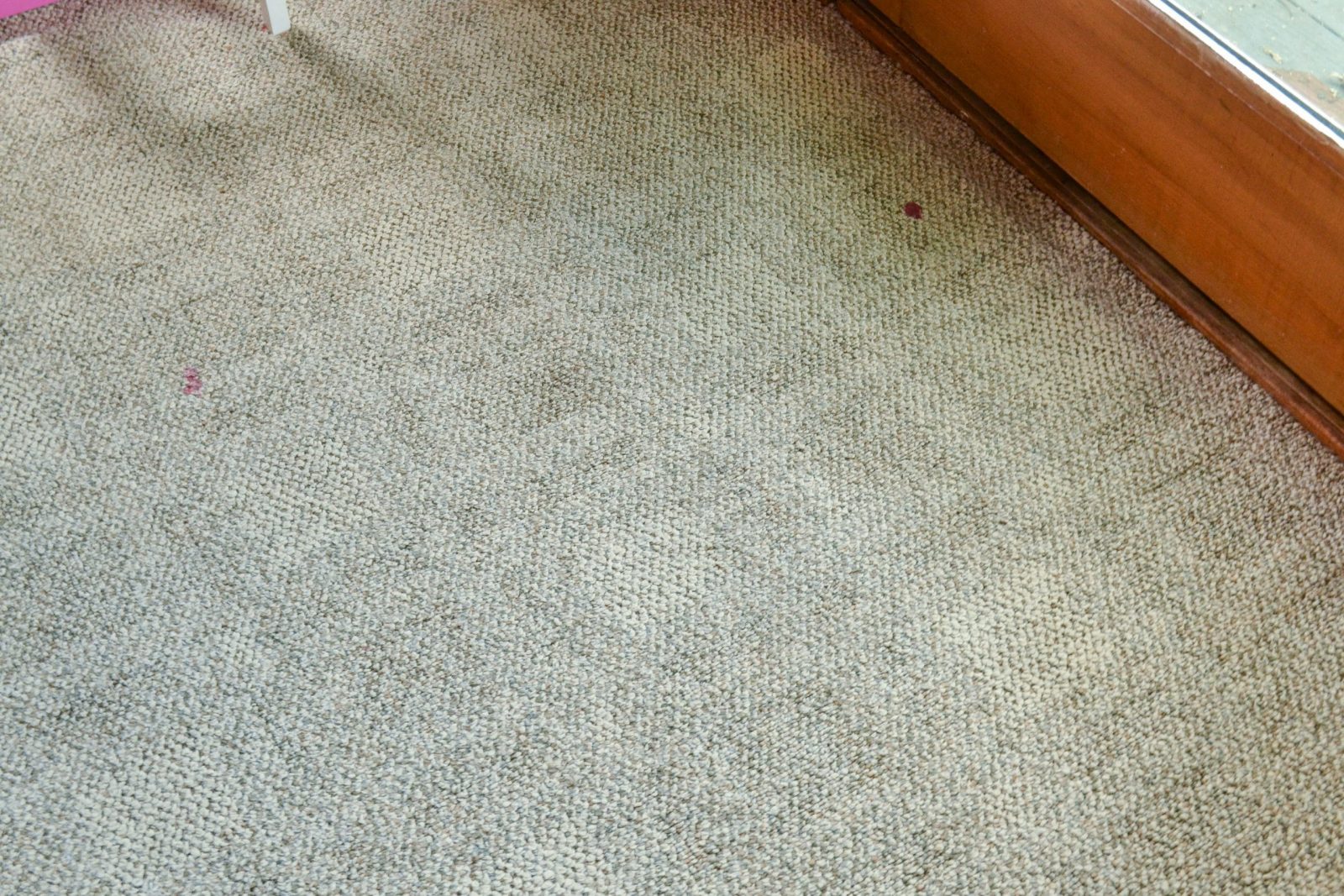 Hoover carpet review