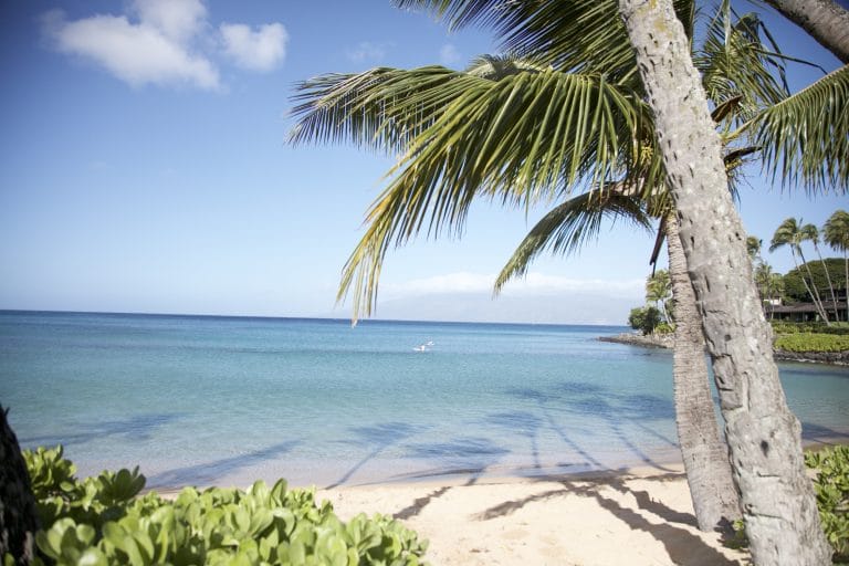 kid friendly Maui