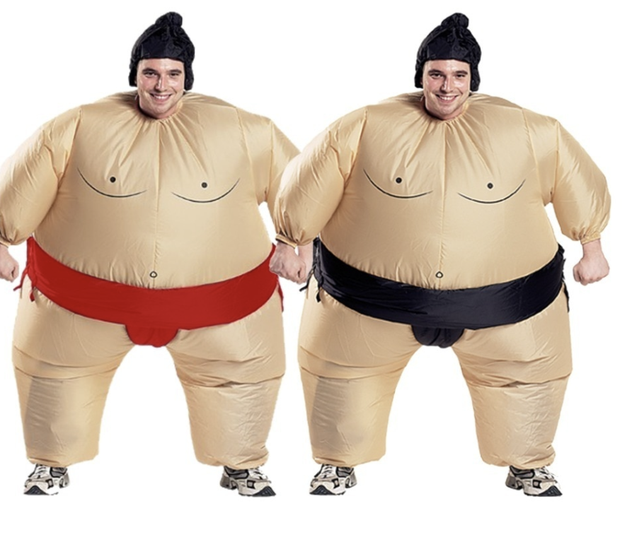 Sumo Wrestler Costume. 
