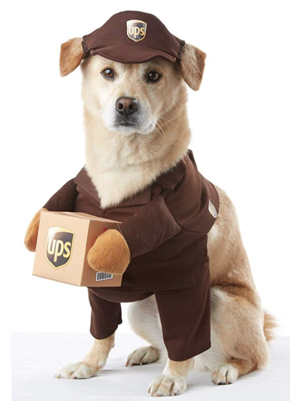 best dog halloween costumes for 2021