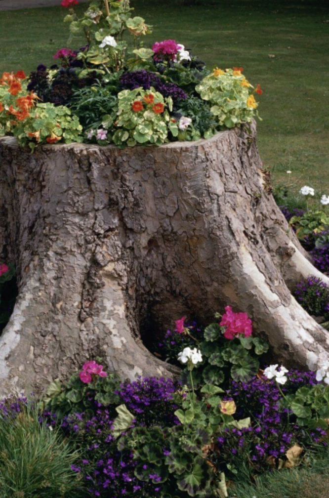tree stump flower bed
