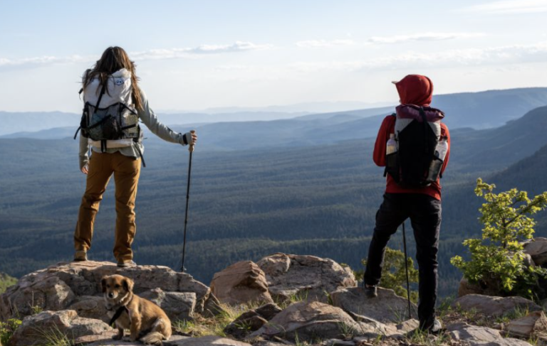 best waterproof pants