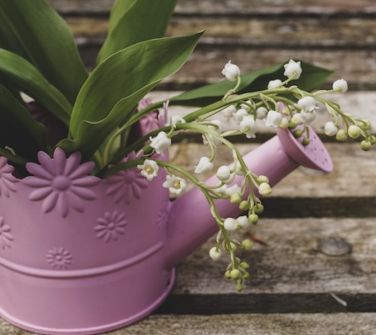 Small front yard landscaping ideas on a budget