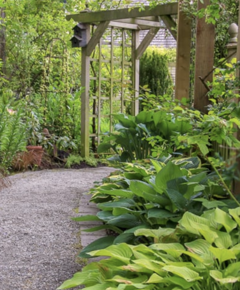 garden path ideas