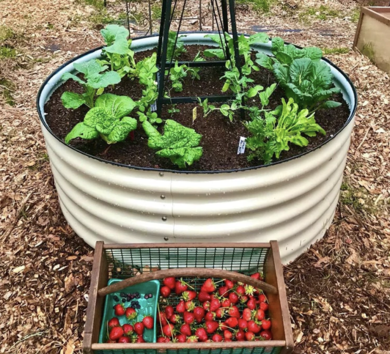 inexpensive raised garden bed ideas