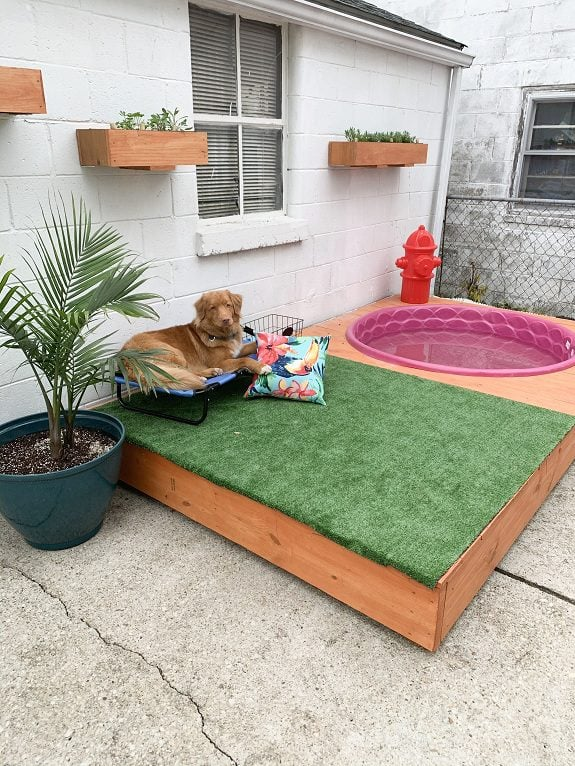 backyard ideas for dogs that dig
